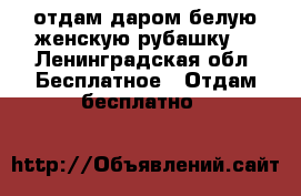 отдам даром белую женскую рубашку. - Ленинградская обл. Бесплатное » Отдам бесплатно   